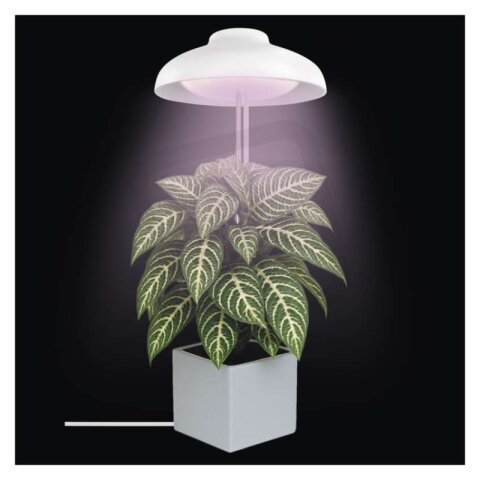 LED GROW pěstební lampa 5 W, časovač, bílá EMOS Z7901