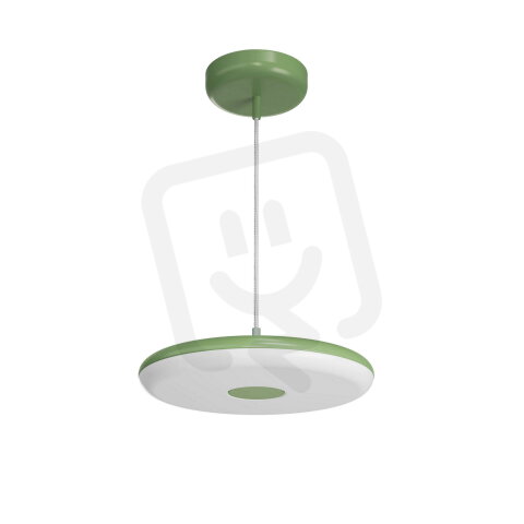 LED-1L641E700/250ZST/FP91/L100 O 2/1 DAL