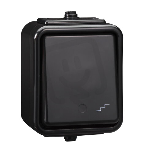 Schneider E072260 Serie C, WNt 600C-Černá, Přepínač střídavý, řazení 6