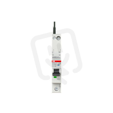 ABB DSE201 M C50 A100 kombinace jistič/chránič 1P+N 1M 10kA 50 A 100mA C A