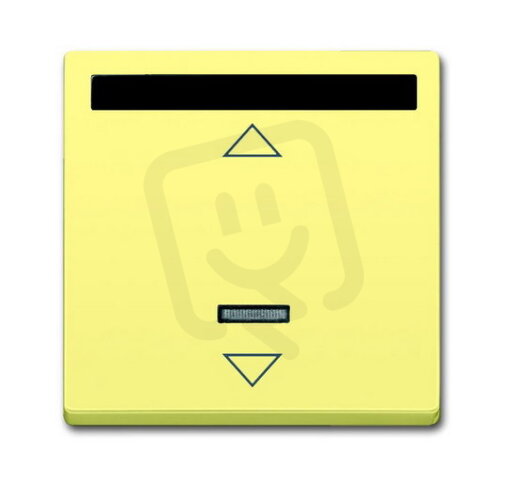 ABB 6020-0-1393 Kryt stmívače nebo spínače žaluziového s infračerveným přijímačem