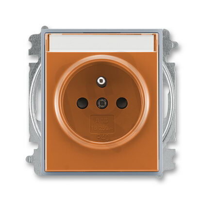 ABB 5519E-A02352 07 Zásuvka 1násobná chráněná,s clonkami,s popisovým polem