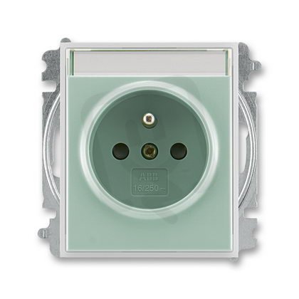 ABB 5519E-A02352 22 Zásuvka 1násobná chráněná,s clonkami,s popisovým polem