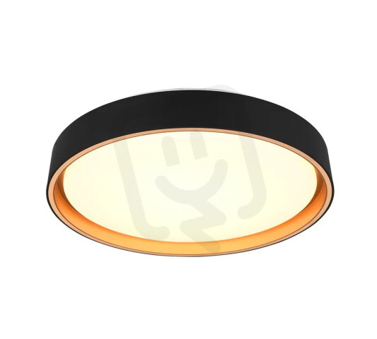 FELIS incl.1x24W LED/2500Lm/2700 - 6500K