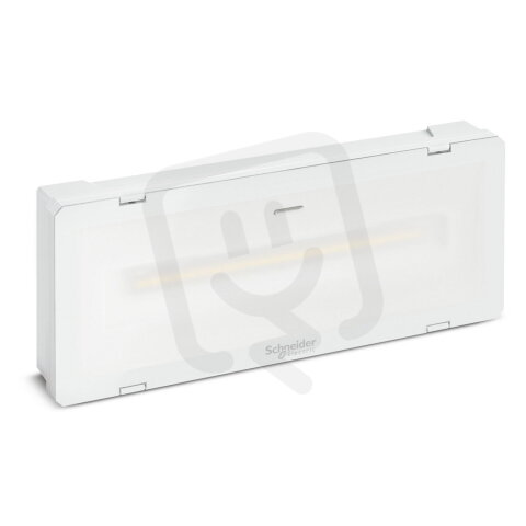 Exiway Smartled CBSIP65L/1000/216VDC230 SCHNEIDER OVA46022