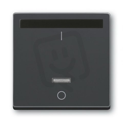 ABB Solo,Future Linear 6020-0-1380 Kryt spínače s infračerveným přijímačem