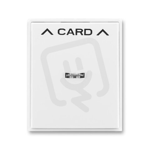 3559E-A00700 03H Kryt spínače kartového,