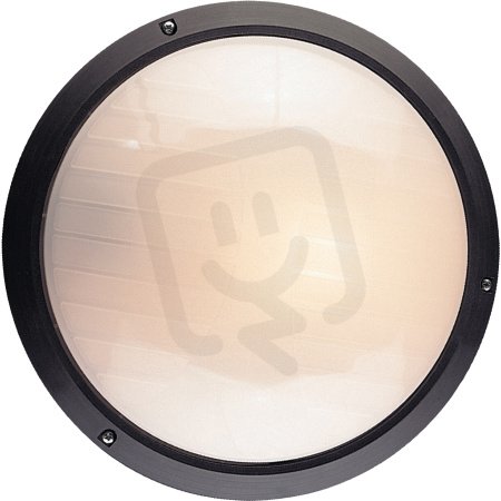 Stropní a nástěnné svítidlo Iveta černá 60W IP54 E27 COMPOLUX 916911/07