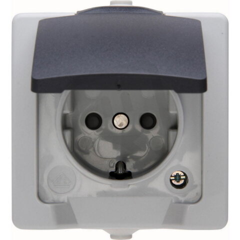 107856005 Earthed socket outlet with hin