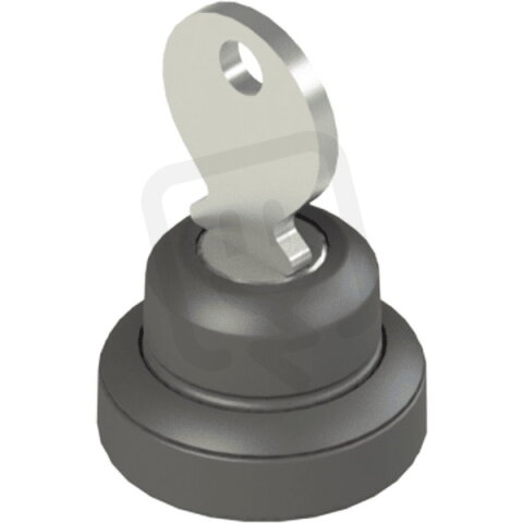 Doplňkový uzamykatelný přepínač (pro NG) - PIZZATO VNNG-AC26043