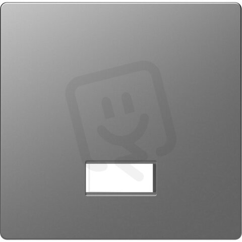 Kryt spínače Merten D-Life s polem pro symboly Stainless Steel MTN3350-6036