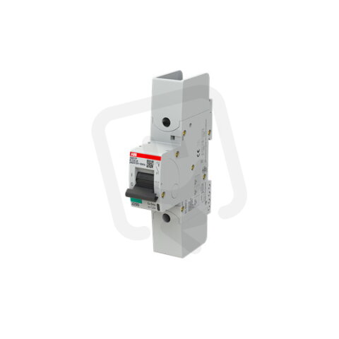 S801P-K125-R; 1 fázový jistič; jmenovitý