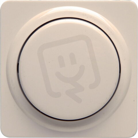 493301187 EUROPA - Cover plate for dimme