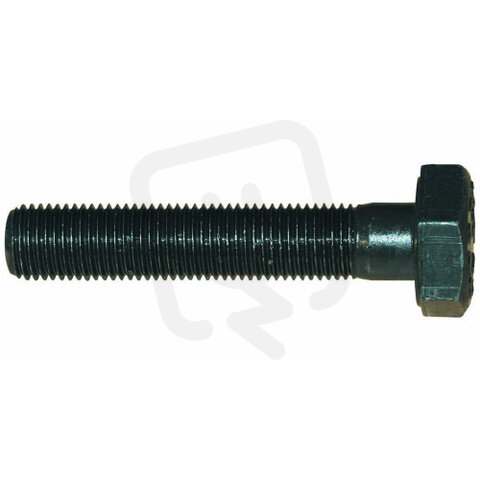 01338 ALFRA šroub 19x75mm bez ložiska pr