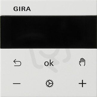 S3000 RPT Display System 55 čistě bílá GIRA 539303