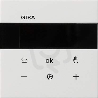 S3000 RPT Display F100 čistě bílá GIRA 5393112
