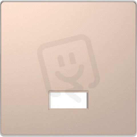 Kryt spínače Merten D-Life s polem pro symboly kov Brushed Gold MTN3350-6051