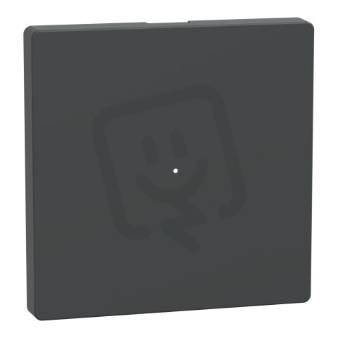 Klapka, Merten System D,  pro tlačítkový modul 1násobný, antracit, plast