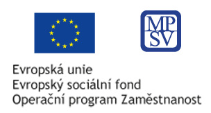 VZDĚLÁVÁNÍ ZAMĚSTNANCŮ S PODPOROU EU